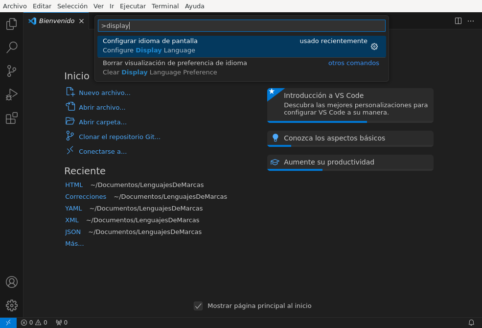 ../_images/00-vscode-lang.png